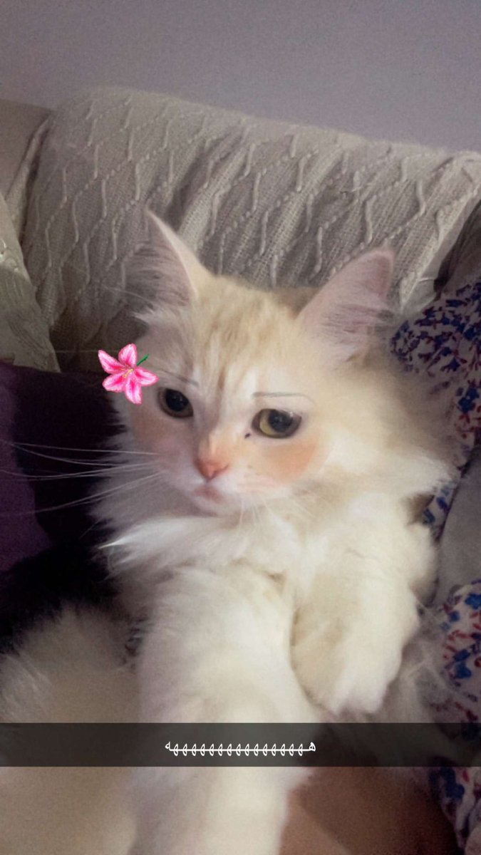 bthk's tweet image. 😭😭