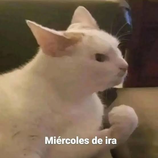 En Júpiter tweet media