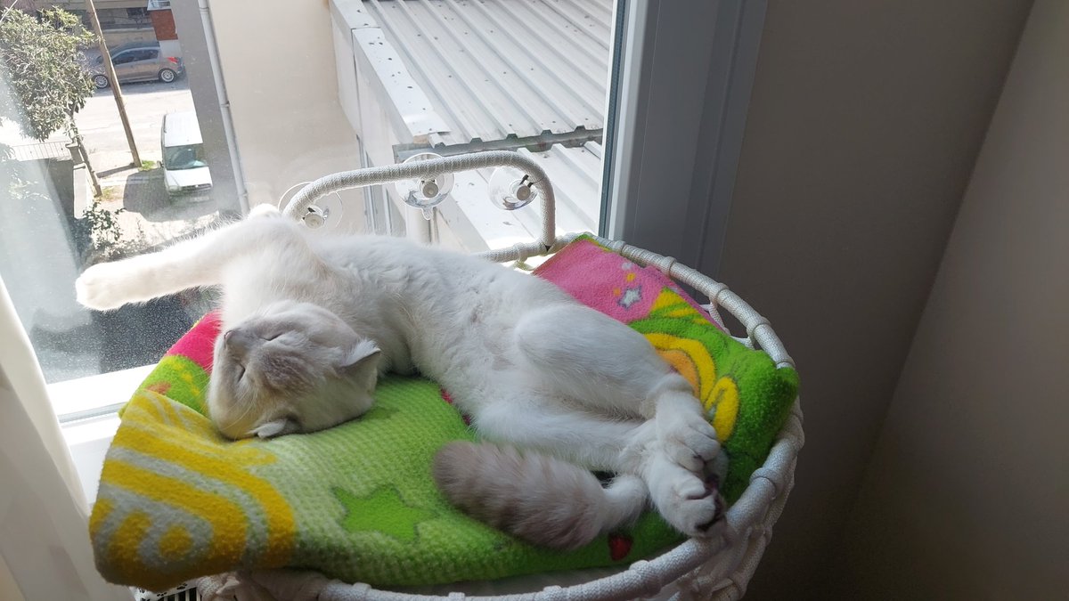 biramz deli yatıyorn