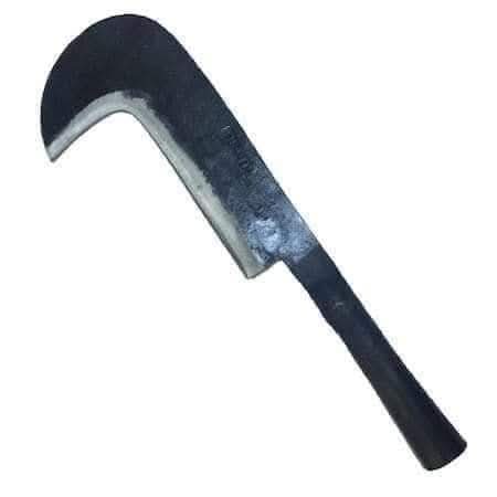 🤔HALA ADINI  BİLEN ÇIKMADI 🤔