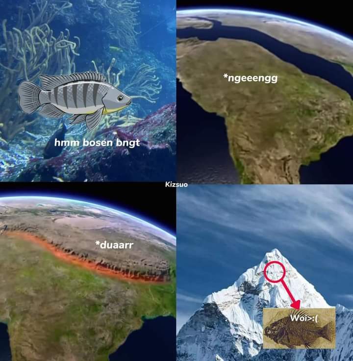 loveeetrain's tweet image. 