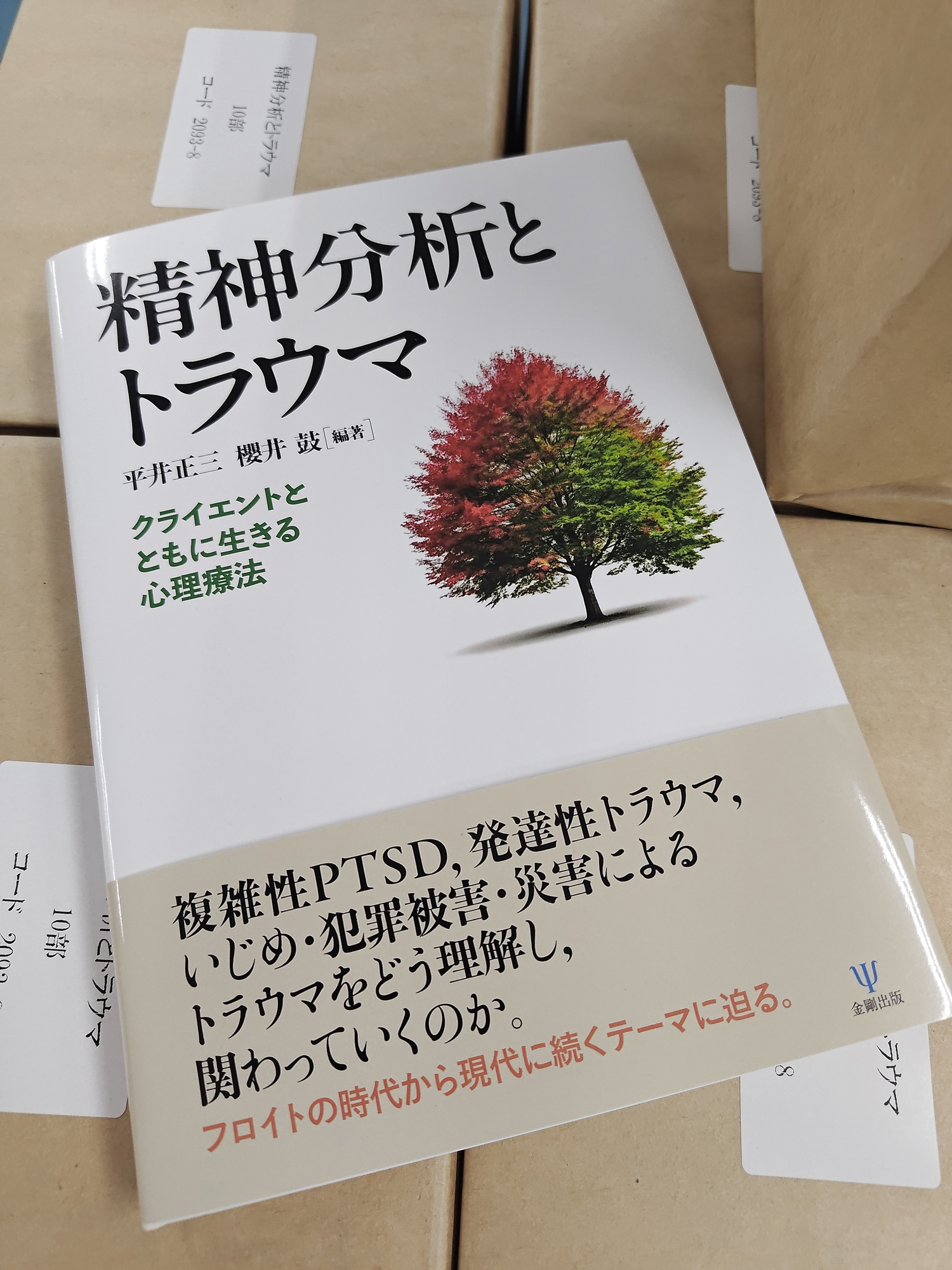 精神分析臨床を生きる 対人関係学派からみた価値の問題/創元社/サンドラ・ビュ-チュラ-（単行本） 精神分析臨床を生きる:対人関係学派からみた価値の問題
