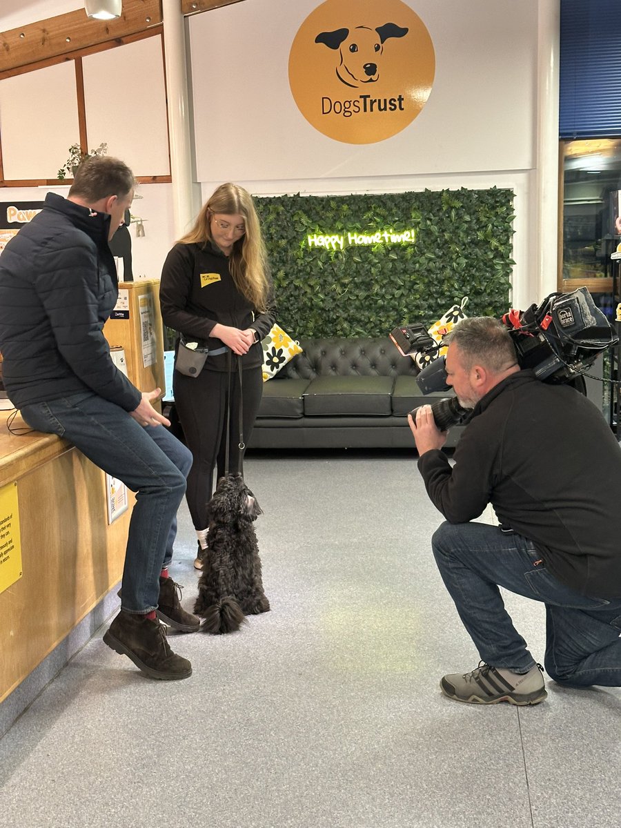 Dogs Trust Shoreham (@dt_shoreham) on Twitter photo Tune into <a href="/GMB/">Good Morning Britain</a> to watch our superstar, Woody, in his quest to find a home after spending 10 years in kennels. ๐บ๐ Tune into <a href="/GMB/">Good Morning Britain</a> to watch our superstar, Woody, in his quest to find a home after spending 10 years in kennels. ๐บ๐