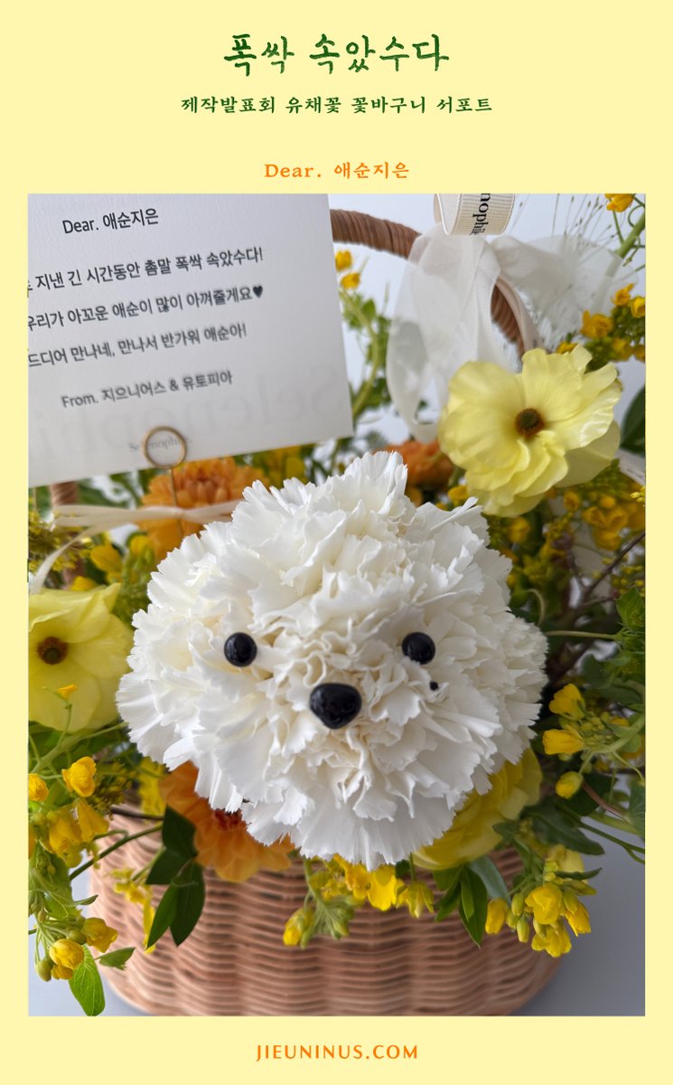지으니어스 tweet media