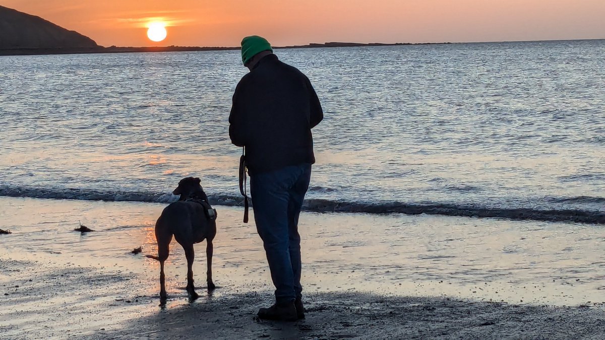 Hi friends, Hamish here.  My favourite human went to the hospital and hasn't come back . I'm sure he will soon though and so I run to the door every time I hear a car. The spare human is crying all the time and talking about a funeral?  I am farting ++ to cheer her up!