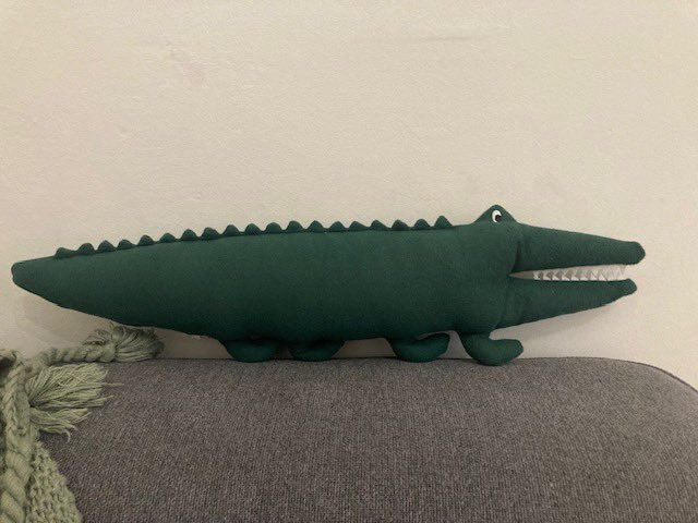 Adding cushions that double as toys is a great way to maximise your therapy room space.  This cute croc is my latest addition.  Do you have favourite cushions?
#childrensmentalhealth #therapy