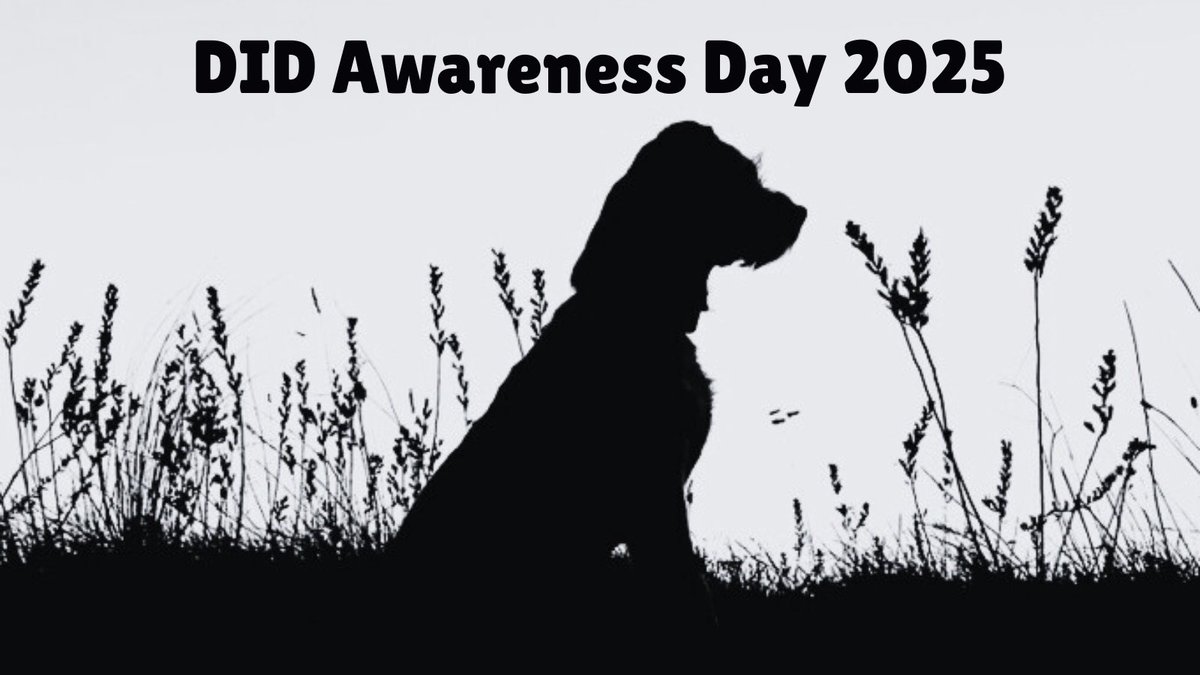 Poor understanding for the mental health condition Dissociative Identity Disorder (DID) means we have this day to represent the passion many survivors &amp; allies have to raise as much awareness as possible. DID is real, validated by clinical research all over the world #DID