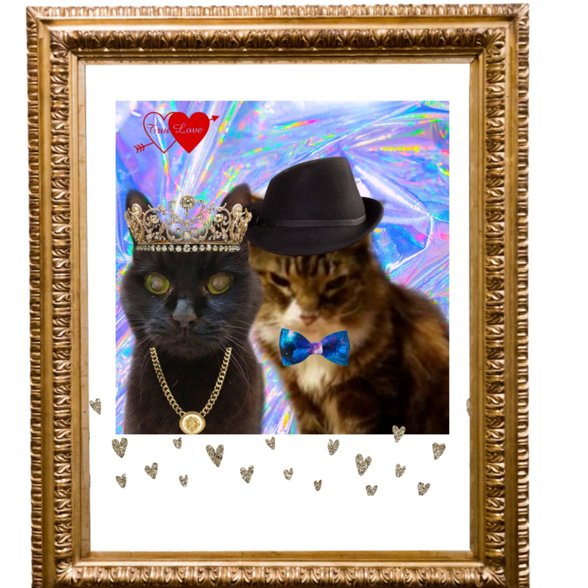 Maggie and ๐ Scribbles ๐ (@andy18512371) on Twitter photo Today I am thinking of Baby Girl, <a href="/IndyCatBear1/">IndyCatBear</a> the founder of #SuperSeniorCatsClub on this her rainbow-versary and sending big hugs to her Mum. This is one of my favourite pictures of her with her beloved Mr Nibs <a href="/MrNibs3/">Mr. Nibs๐</a> Today I am thinking of Baby Girl, <a href="/IndyCatBear1/">IndyCatBear</a> the founder of #SuperSeniorCatsClub on this her rainbow-versary and sending big hugs to her Mum. This is one of my favourite pictures of her with her beloved Mr Nibs <a href="/MrNibs3/">Mr. Nibs๐</a>