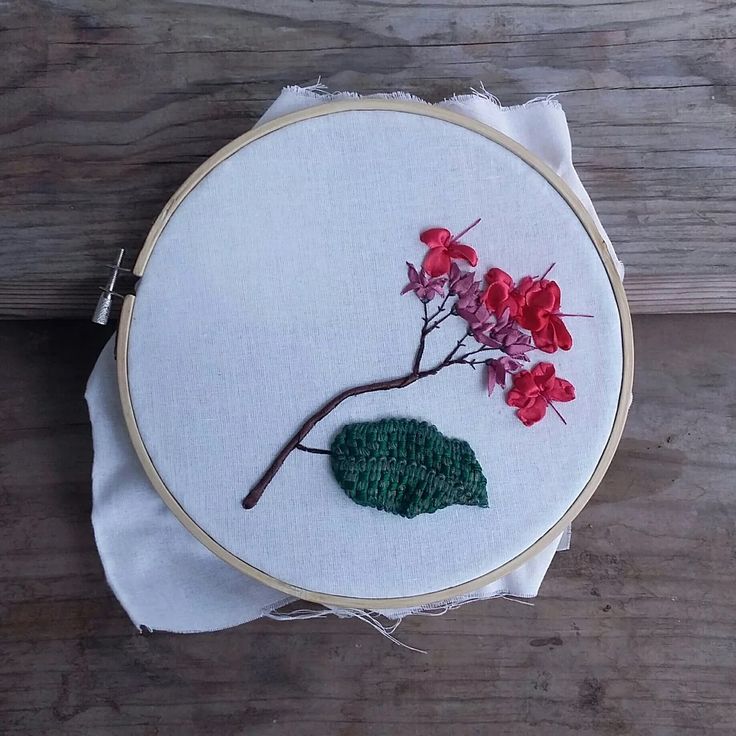 Vanessa van Eyk tweet media