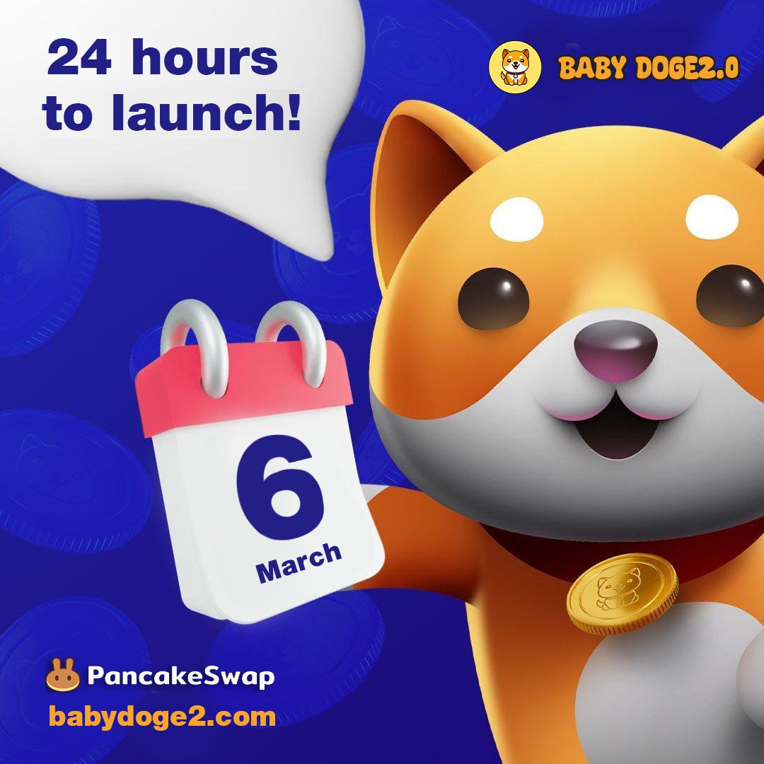 Baby Doge 2.0 is launching in just 24 hours to take BNB Chain to the next level!

📅 Launch Time: March 6, 2PM UTC
📅 Airdrop Claim: March 7, 2PM UTC

🔗 Token Contract: 0x072A55c520a28947336AB5Fc080abeE38Bc541ee

Get ready babydoge2.com🔥