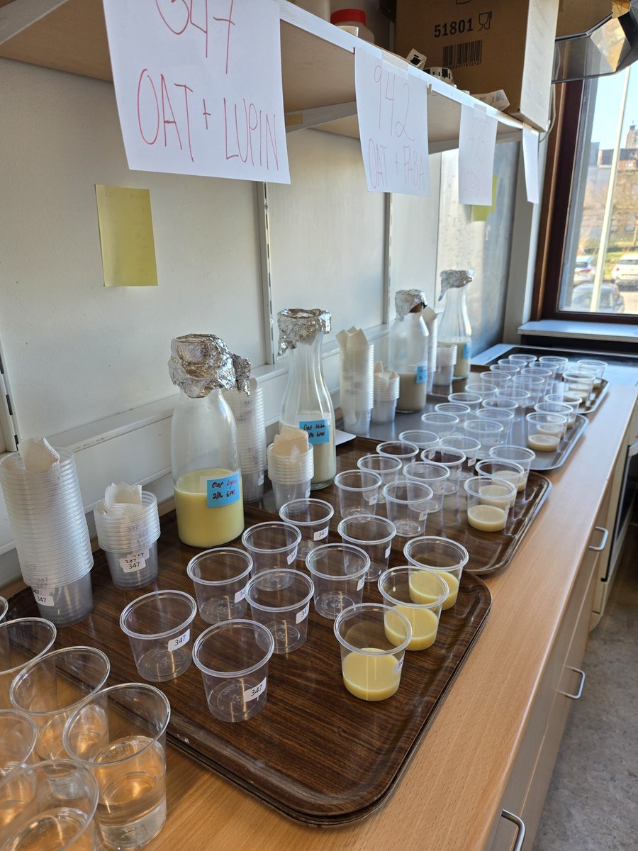 🌱Consumer Testing Alert! 🌍
We're testing Plant-Based Beverages &amp; Plant-Based Spreads across Italy, Spain, Serbia, and Belgium! 🥛✨ These products are crafted with Cropdiva crops, bringing sustainability and innovation to your table.💚
#ResearchImpactEU
#H2020
#H2020Cropdiva