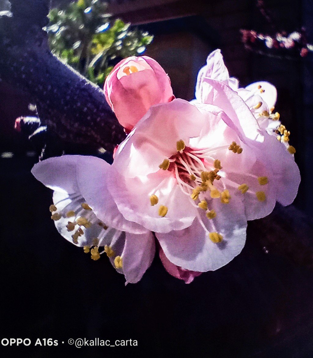 Fame di pace

in questo mondo 

     in-fame