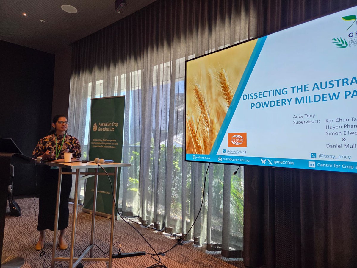 KC 👨🔬🌾🍄🇦🇺 (@karchuntan) on Twitter photo Our PhD student <a href="/tony_ancy/">Ancy Tony</a> of <a href="/theCCDM/">CCDM</a> & <a href="/InterGrain1/">InterGrain</a> presented her work on the identification of Australian wheat powdery mildew pathotypes and available genetic resistances to control them at #BreedersWeek <a href="/AusCropBreeders/">Australian Crop Breeders Ltd</a> 💪 Our PhD student <a href="/tony_ancy/">Ancy Tony</a> of <a href="/theCCDM/">CCDM</a> & <a href="/InterGrain1/">InterGrain</a> presented her work on the identification of Australian wheat powdery mildew pathotypes and available genetic resistances to control them at #BreedersWeek <a href="/AusCropBreeders/">Australian Crop Breeders Ltd</a> 💪