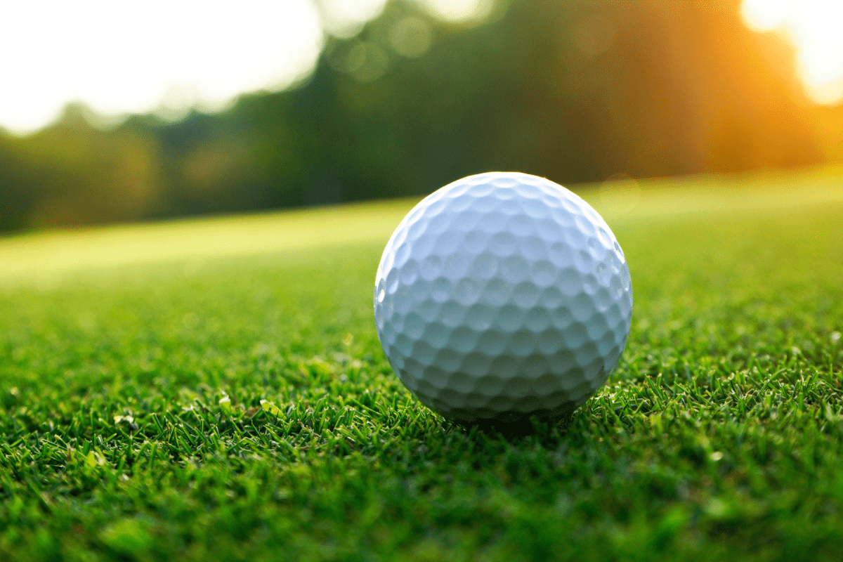 Applications are now being accepted for the UF CARD Golf Clinic Spring 2025!
card.ufl.edu/2025/03/04/gol…