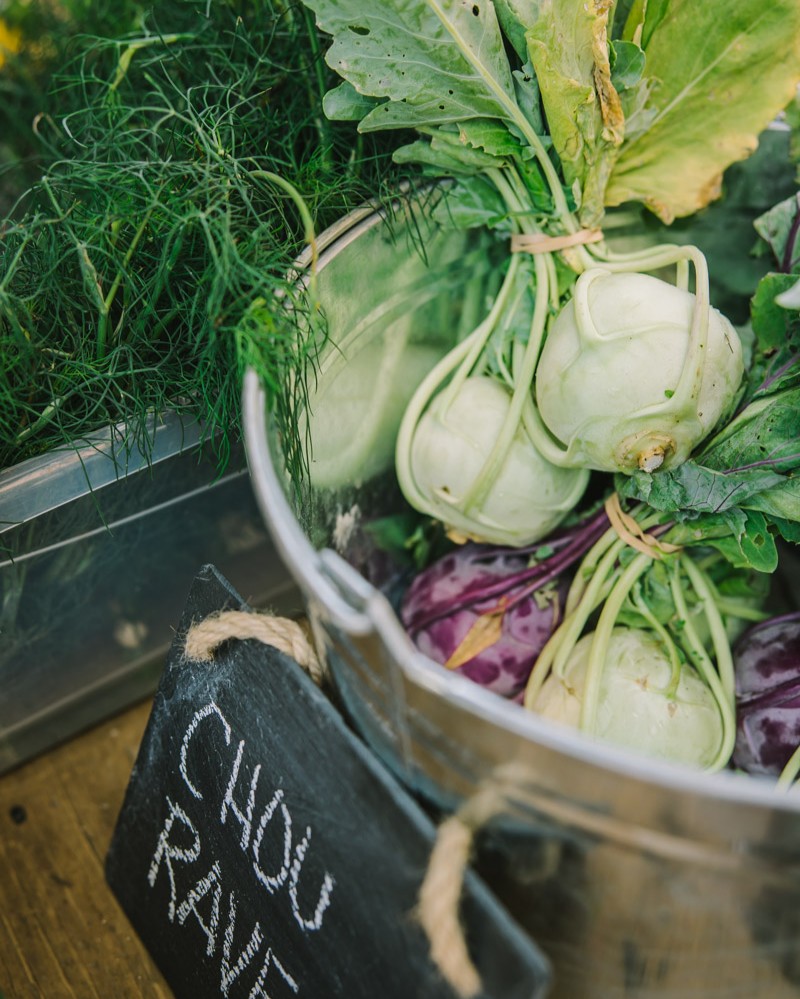 AlimentsNB's tweet image. Mars est le mois de la nutrition au Canada ! 🍁 Choisir des aliments locaux n'est pas seulement bon pour vous - cela soutient les agriculteurs du Nouveau-Brunswick, renforce nos communautés et assure la durabilité de notre système alimentaire.  #AchetezLocalPourdeBon
