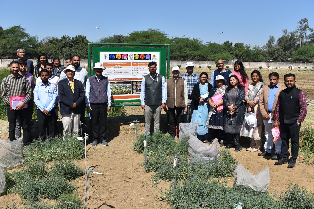 surendrabarpete's tweet image. Participated in @INBPGR #Germplasm #DiversityDay (March 5, 2025). Impressive #Germplasm collection showcasing #Grasspea, #FabaBean, and #Lentil diversity. A valuable platform for conservation and utilization! #GeneticResources #Agrobiodiversity #CWR