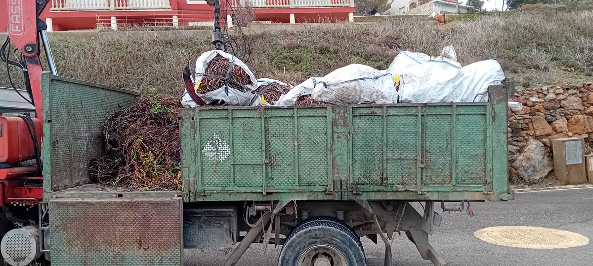 BIOSFERA tweet media