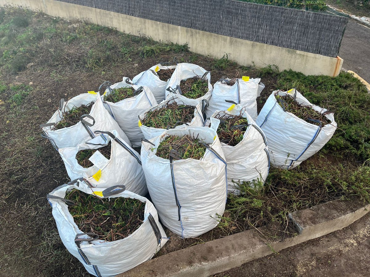 BIOSFERA tweet media