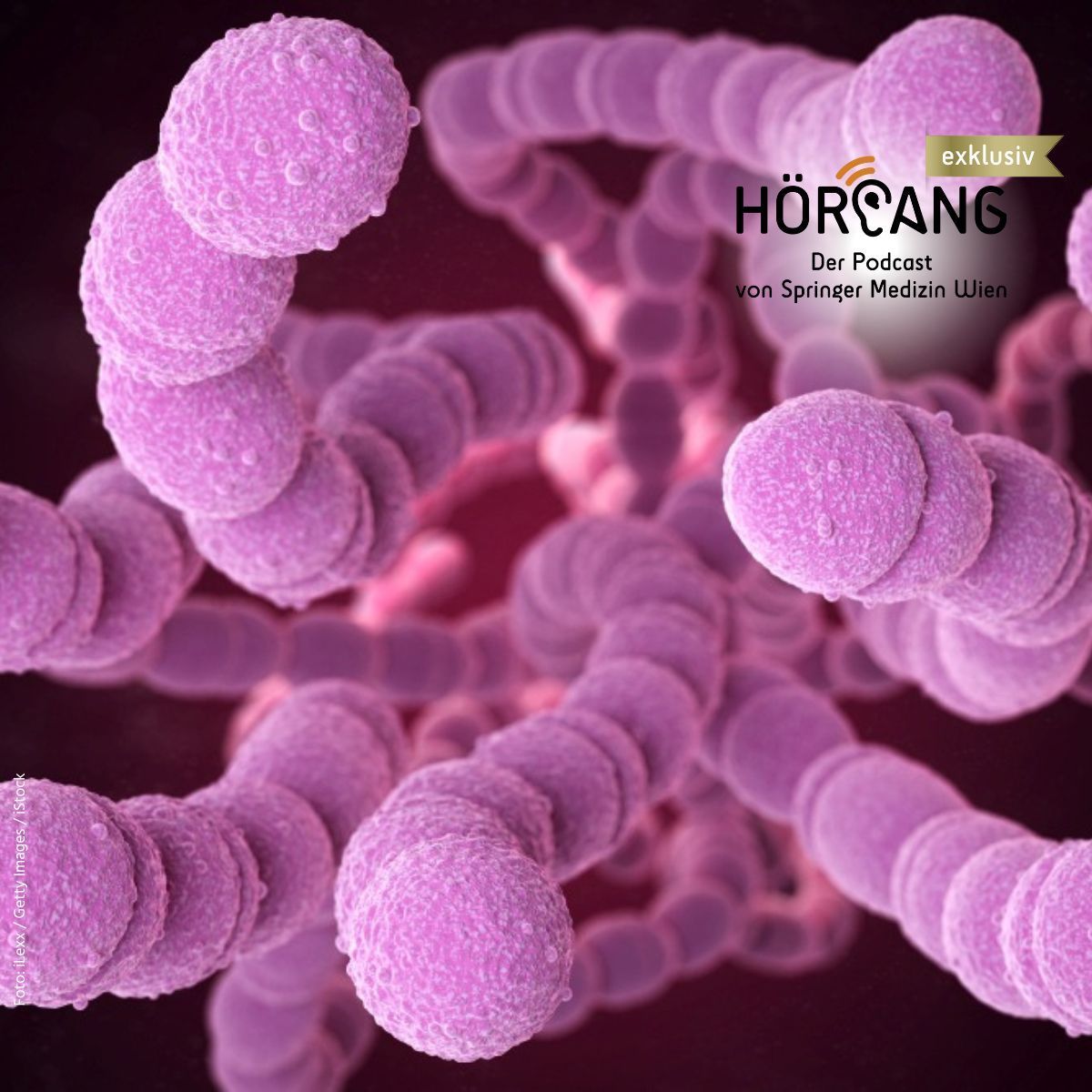 💉 𝐏𝐧𝐞𝐮𝐦𝐨𝐤𝐨𝐤𝐤𝐞𝐧-𝐈𝐦𝐩𝐟𝐮𝐧𝐠 𝐟ü𝐫 𝐛𝐞𝐬𝐭𝐢𝐦𝐦𝐭𝐞 𝐑𝐢𝐬𝐢𝐤𝐨-𝐏𝐞𝐫𝐬𝐨𝐧𝐞𝐧𝐠𝐫𝐮𝐩𝐩𝐞𝐧 𝐥𝐚𝐮𝐭 Ö𝐬𝐭𝐞𝐫𝐫𝐞𝐢𝐜𝐡𝐢𝐬𝐜𝐡𝐞𝐦 𝐈𝐦𝐩𝐟𝐩𝐥𝐚𝐧 „𝐝𝐫𝐢𝐧𝐠𝐞𝐧𝐝 𝐞𝐦𝐩𝐟𝐨𝐡𝐥𝐞𝐧“ 

🎧 In Teil 3 unserer dreiteiligen Podcast-Reihe zum Thema Impfen