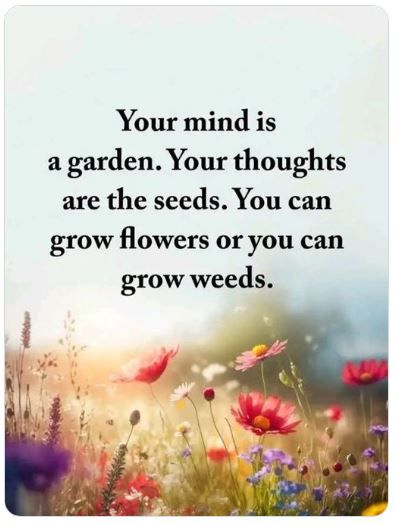 Pulling Weeds and Planting Flowers in Your Mind buff.ly/O9IvkQC 

Pairing #negative #memories with positive #thoughts pulls weeds and plants flowers in your #mind.  🌻 

#mentalhealth #depression #anxiety #brain #Wednesdaymorning #Wednesdaywisdom #Wednesdaymotivation