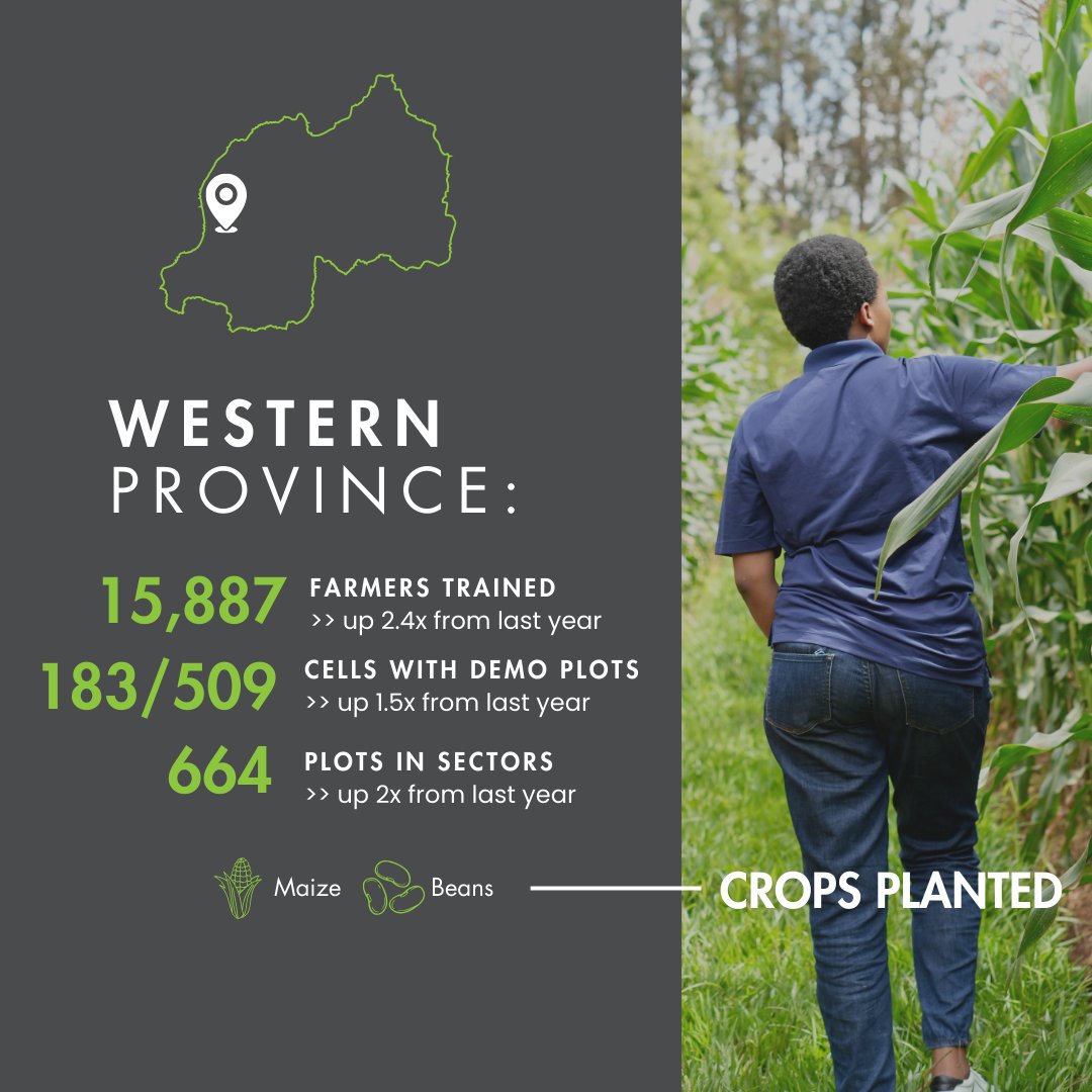 Our highest priority is to help the Rwandan government successfully implement the adoption of conservation agriculture and become food self-sufficient in its basic staple crops by the end of 2025. See the stats from last year on how the country is adopting FFF methods.