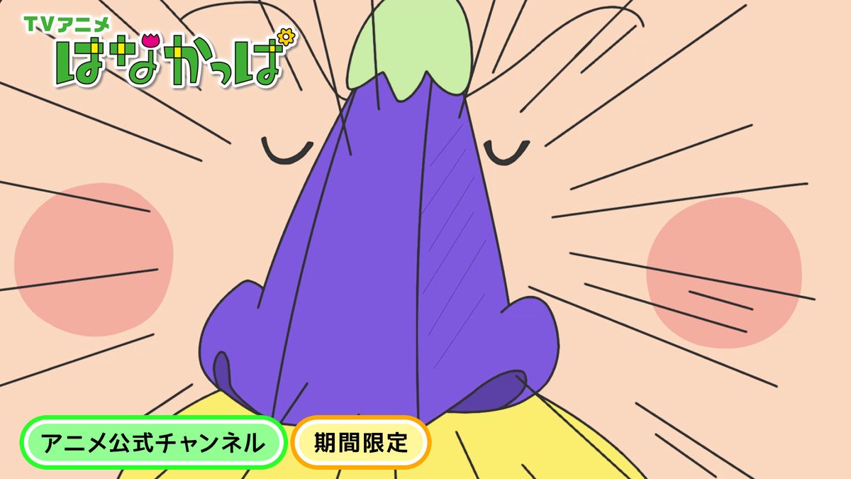 ✴︎はなかっぱさま　　専用