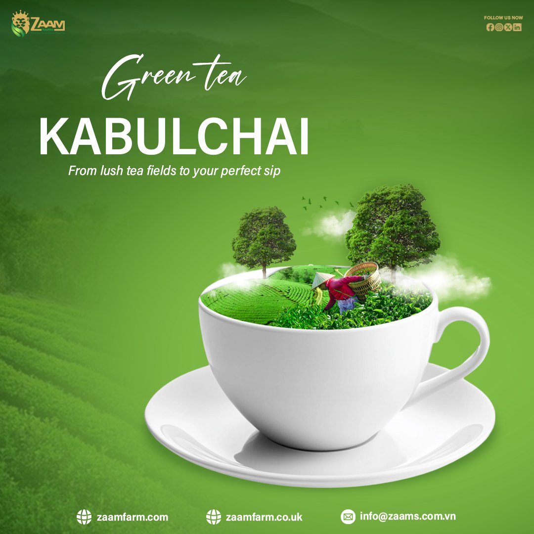 At Kabulchai, we believe that a perfect cup of tea begins with sustainable tea gardens. That’s why we collaborate exclusively with the most renowned tea-growing regions in Southeast Asia, where ideal soil and climate conditions produce the finest quality tea leaves.

#zaamfarm