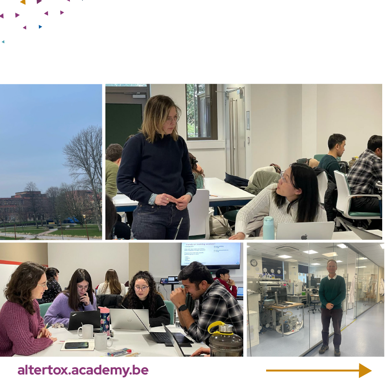 AltertoxAcademy's tweet image. A huge thank you to our Policy Officer Dr. Leonie Mueller for leading an engaging and interactive training session on understanding science in policy and politics.  

📸 Here’s a glimpse of some of the key moments from the training day. 

#AltertoxTraining