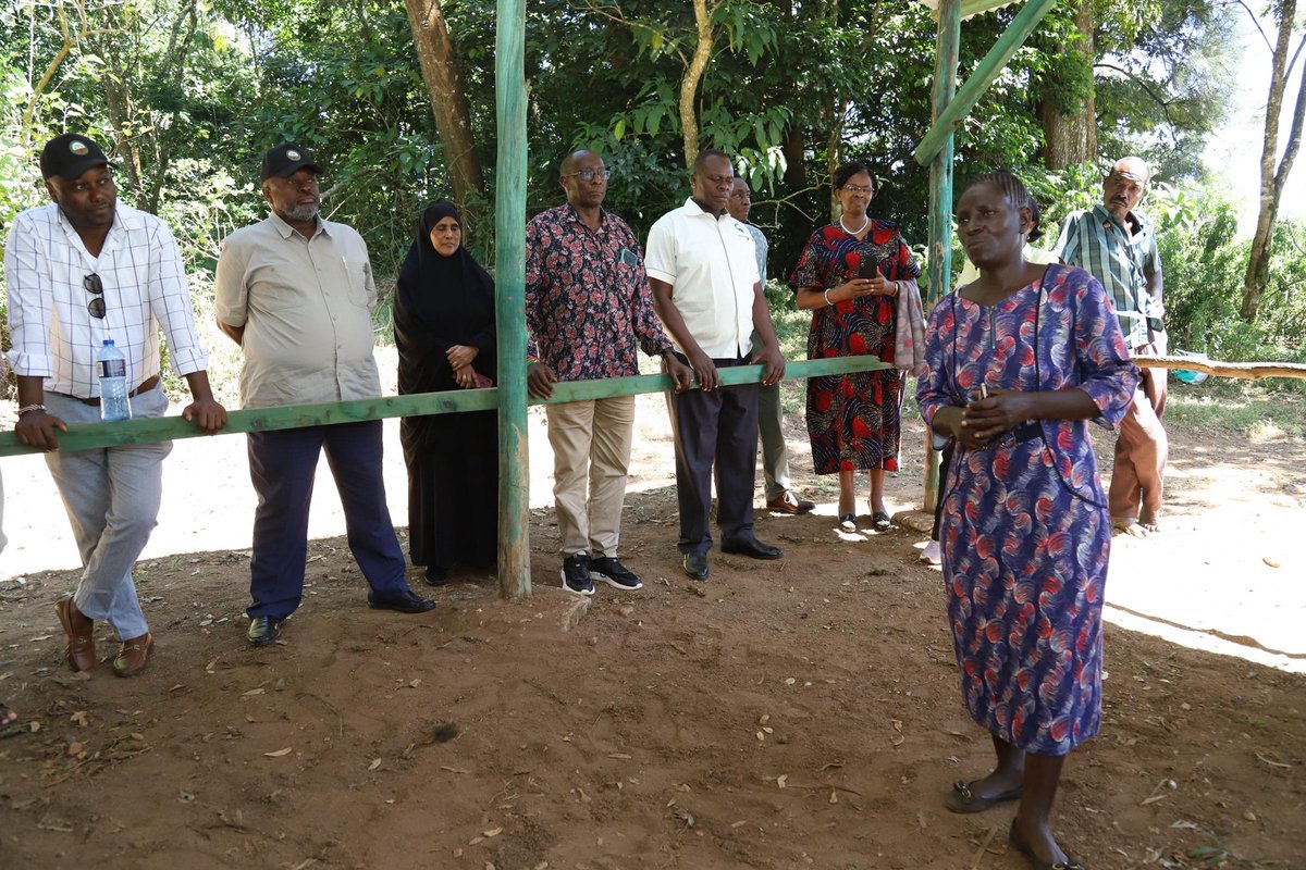 KEFRIHQ's tweet photo. Today KEFRI team led by the Chairman General (Rtd) Samson Mwathethe visited Taita Hills Chawia Forest to observe the Franklinia Foundation Project, focused on restoring endangered species such as Milletia Oblata and Afrocarpus usambarensis.
#KEFRI https://t.co/FEaWANqui0