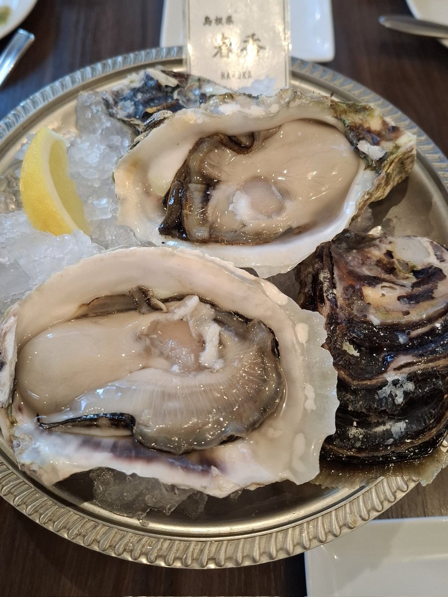 私はむかし簿記2級に合格して、簿記1級は6点足りずに落ちた経験があります

この中途半端な経験により、
意地でも自力で確定申告してしまうのです

勉強した内容など何ひとつ憶えていないにも関わらず

とりあえず牡蠣食べます