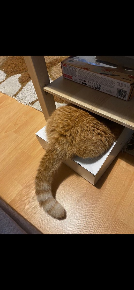 O günlerden bugünlere nası geldin şiko patites