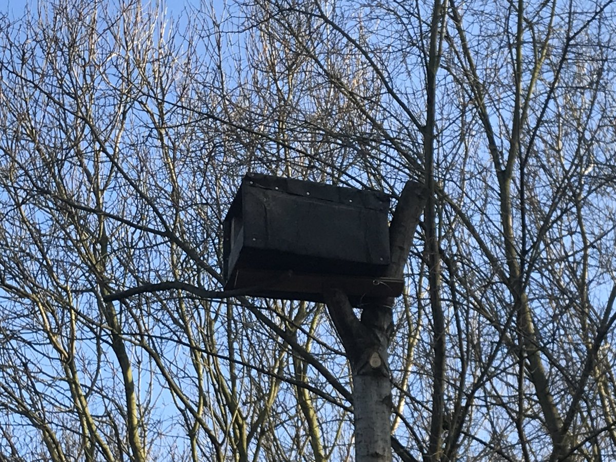 Re Nature London tweet media