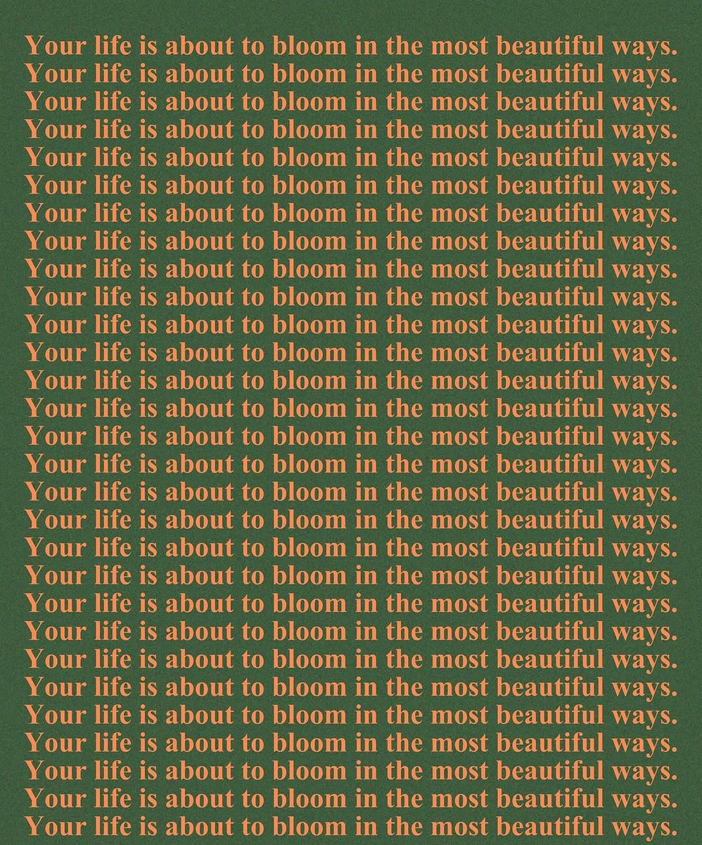 miniarchillect's tweet image. 