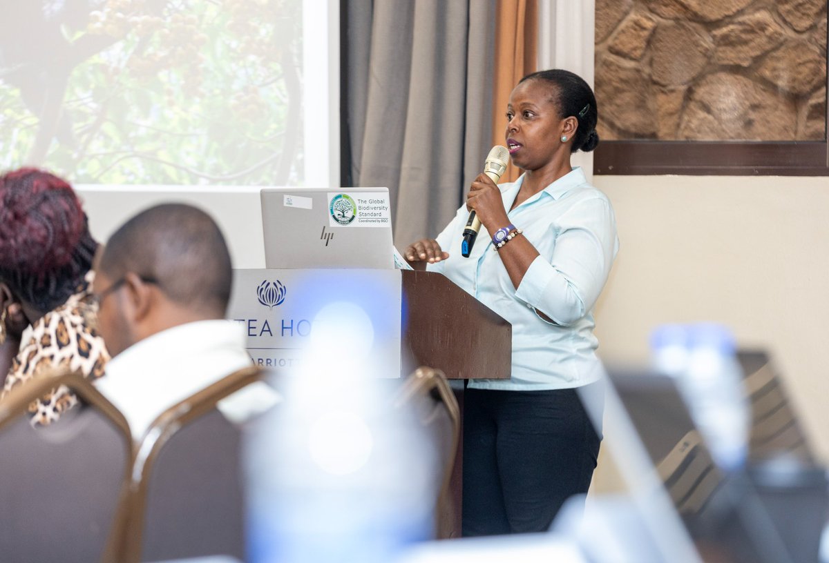 GCICUganda's tweet photo. As we work to restore our forests, floral invasive species pose a major challenge, outcompeting native plants and disrupting ecosystems. How can we strike a balance between regeneration and biodiversity conservation?

At the ongoing Workshop on Management of Invasive Species organised by @ASARECA, Dr. Moreen Uwimbabazi, a Forest Ecologist from National Forestry Resources Research Institute presented measures being taken to manage invasive species;
✅ Eradication 
✅ Assisted regeneration (plant fast growing tree species)
✅ Community sensitisation 

Recommendations;
✅ Scientific based interventions 
✅ Turn waste into wealth (Harness the positive attributes of these invasive species)
✅ Integrated invasive management 
✅ Coordinated efforts from stakeholders. #OpenGovUg @CABI_News