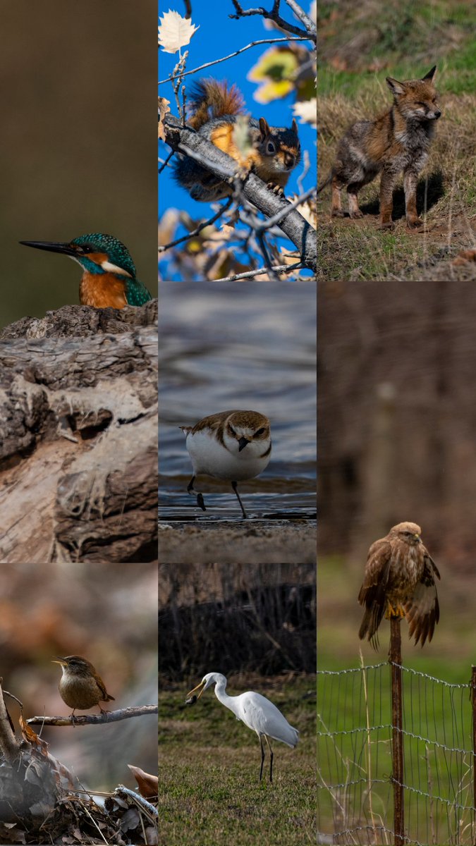 !GoodMorning ☀️

World Wildlife Day 🫶🏽📸🫂