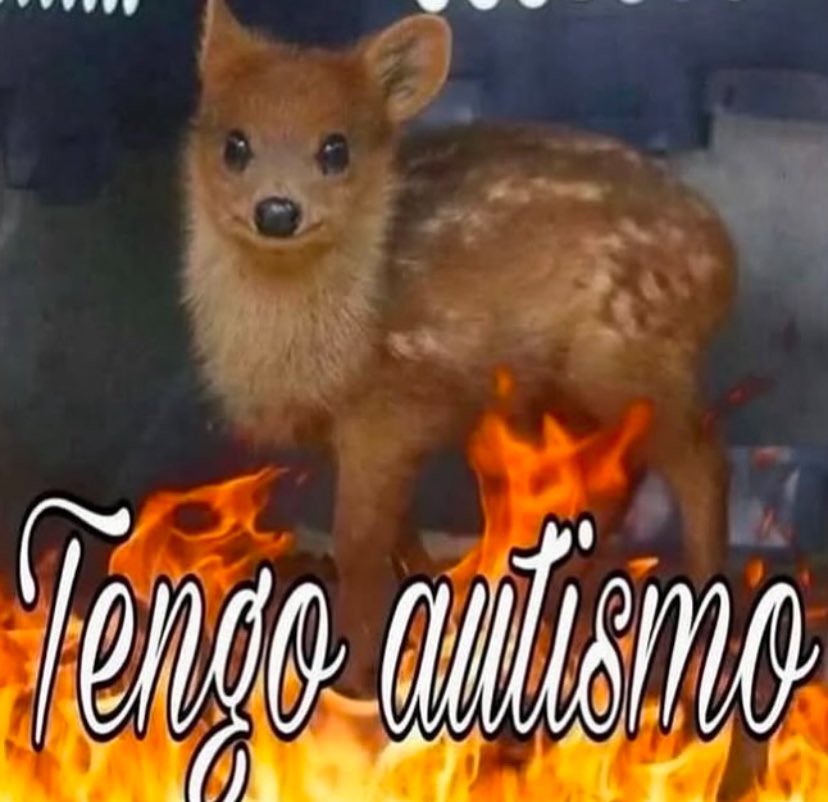 Dokboke's tweet photo. @Budin_chigurh El tipo es un pelotudo bárbaro y nefasto, y la mina es la cumbre del autisimo https://t.co/jvpvzPQG43