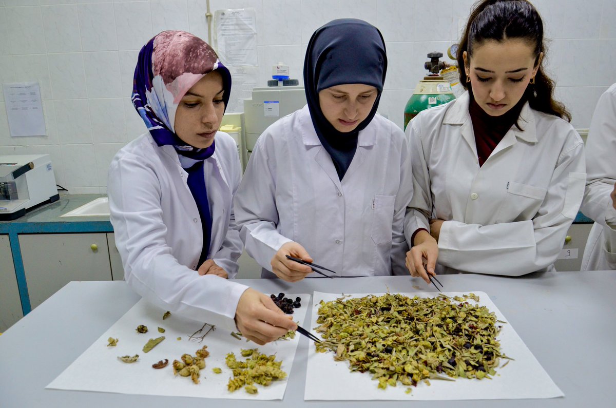 fevzidemircan_'s tweet photo. Bilimsel araştırma yapıldı: ‘Kış çayları yarardan çok zarar verebilir’

HABERİMİZ 👇

https://t.co/0bjDsoCo5A https://t.co/DhkrhZJnNV