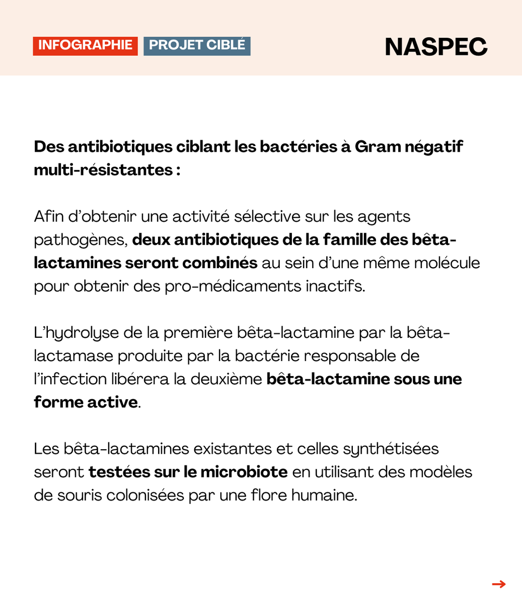 Interface nationale Antibiorésistance tweet media