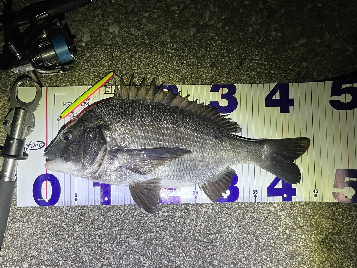 ちょっと遠征、初場所2箇所
適当にやって遊んでもらいました