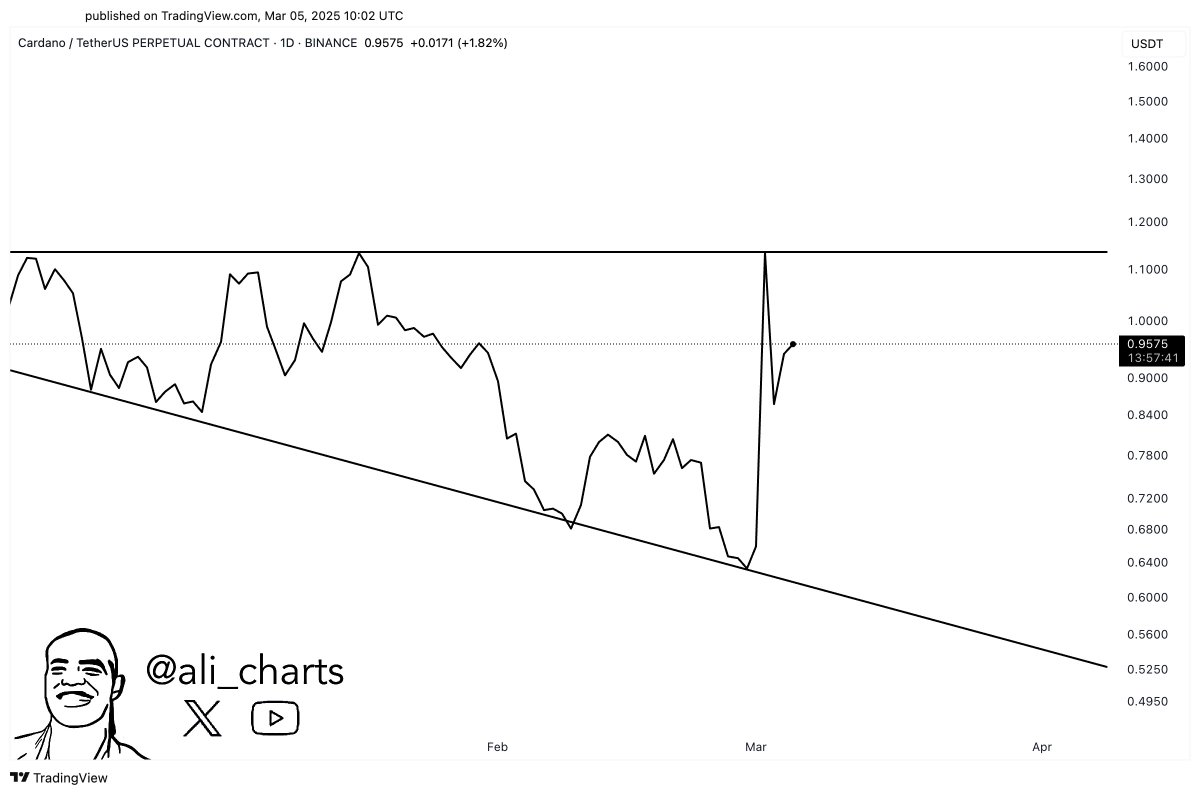 Cardano Fiyat Grafiği Kaynak: TradingView