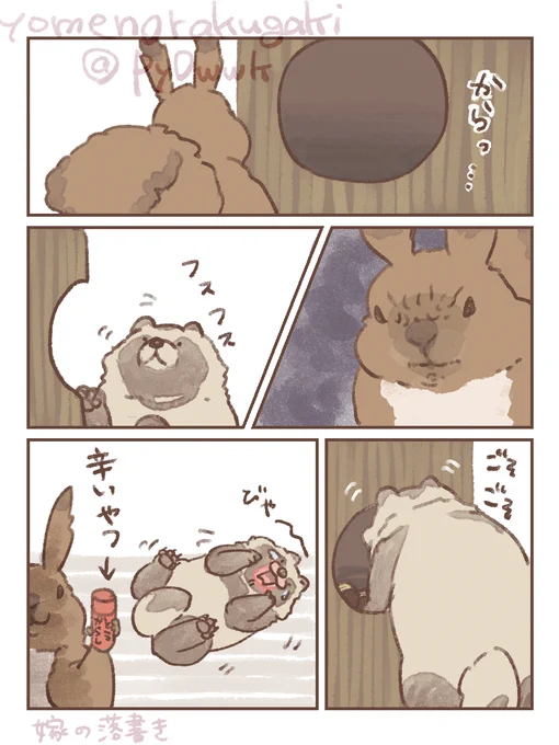 #たぬき
#嫁のたぬきストーリー

リスの復讐 