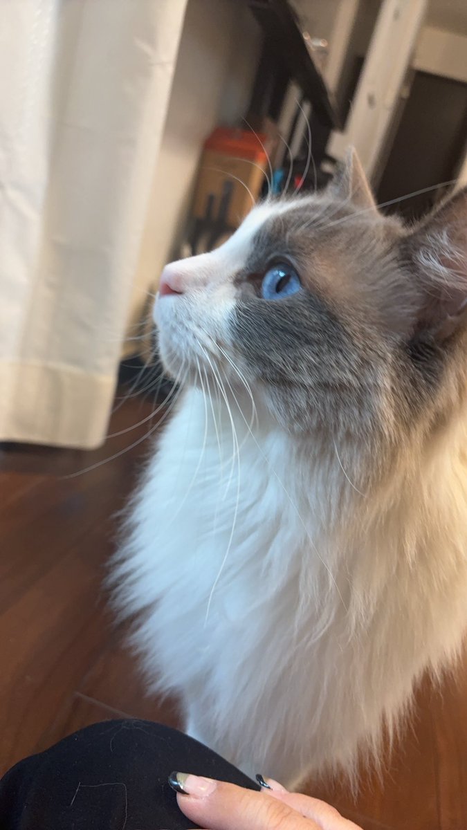 雪に興味津々でした❄️