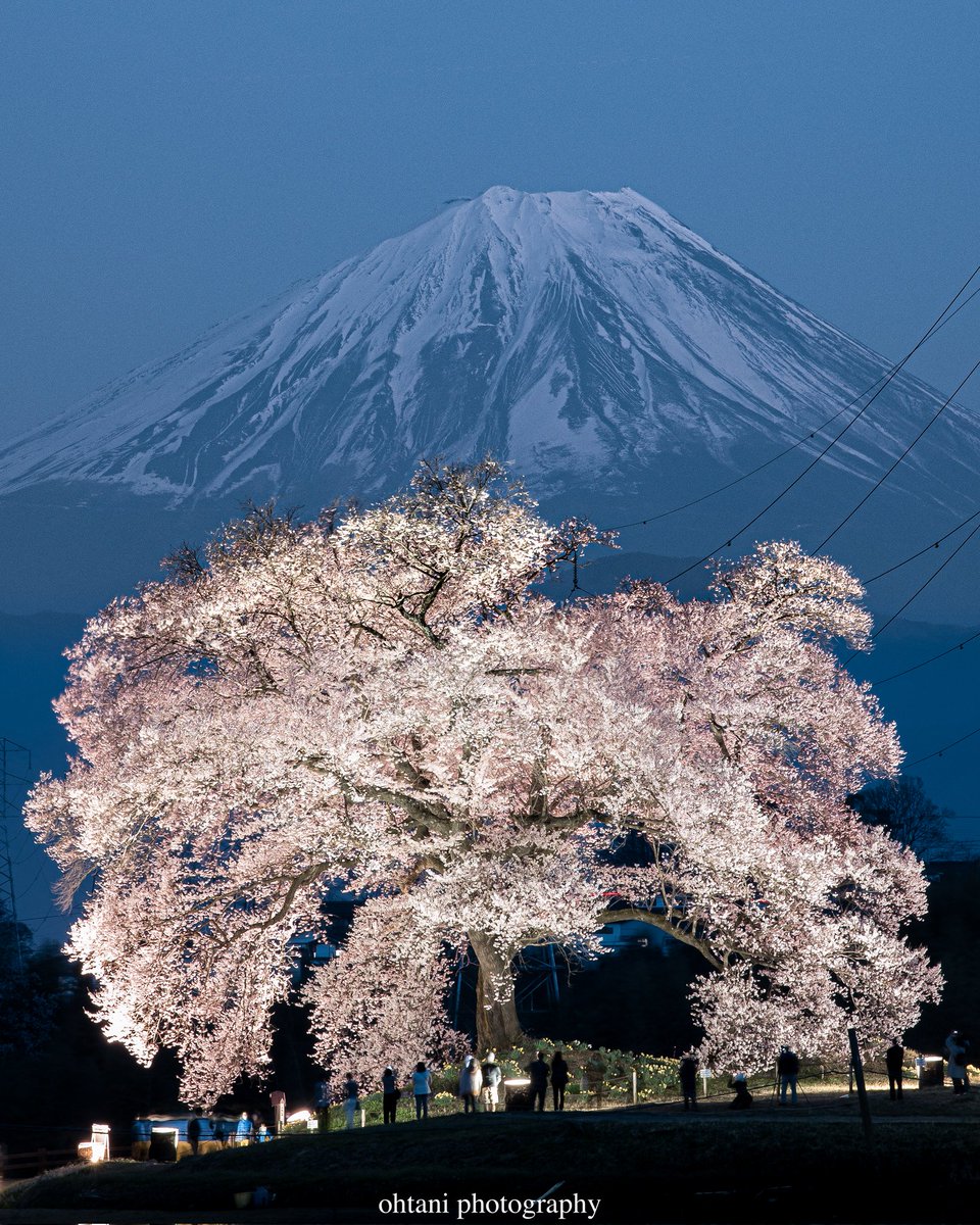 おおたに。┃日本の歴史を彩る風景写真 tweet media