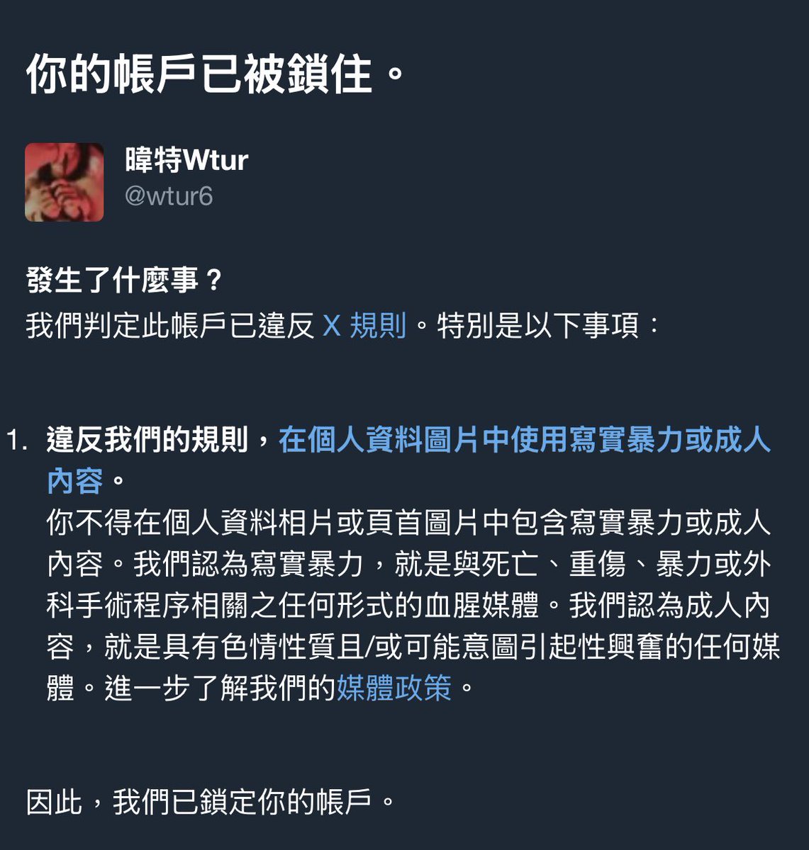 wtur6's tweet photo. 那麼久沒在這更新了還是會被鎖（？？？ https://t.co/q4rVVSYb4z