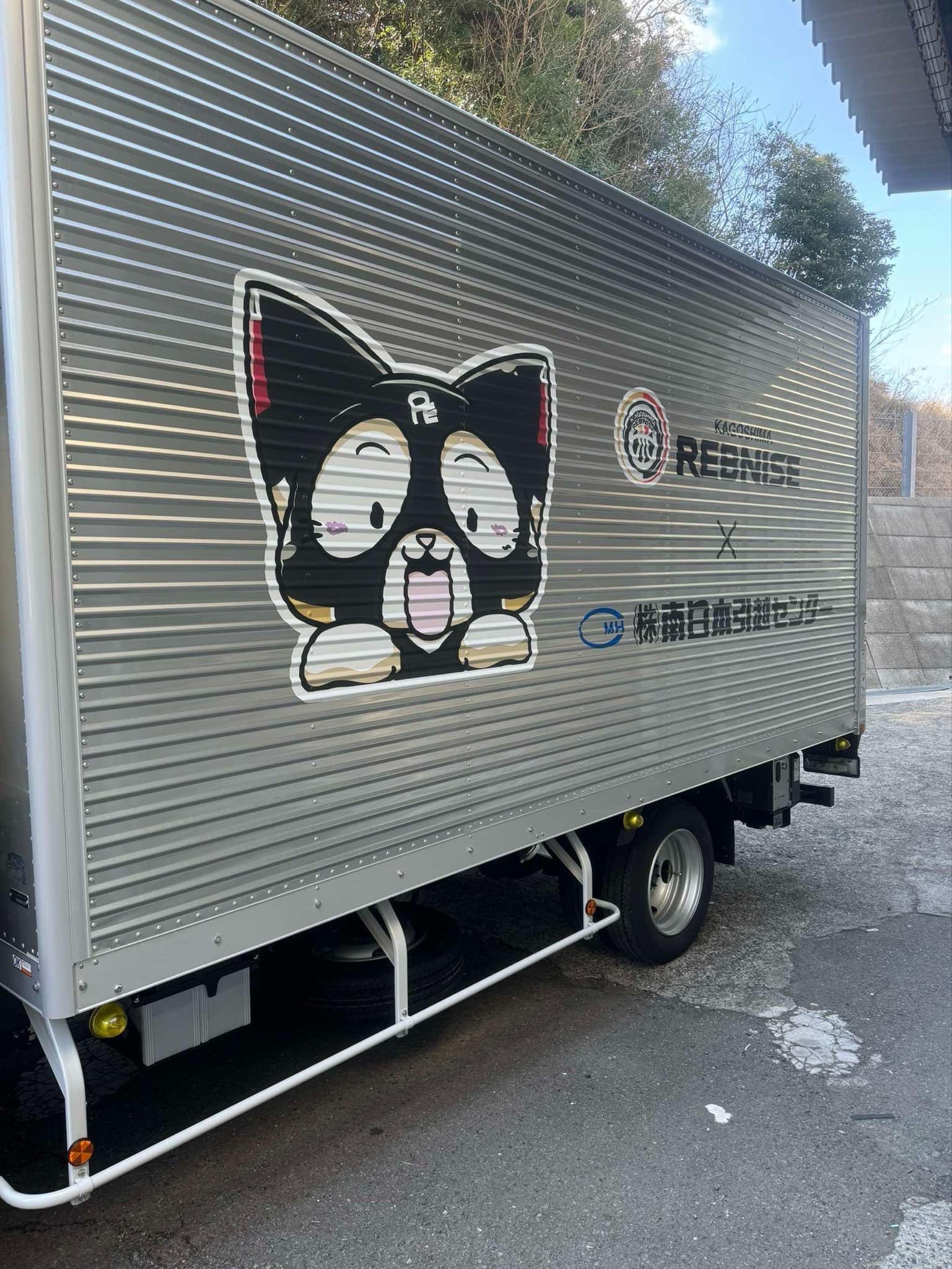 いぶにゃんページです 鹿児島レブナイズ on X: 