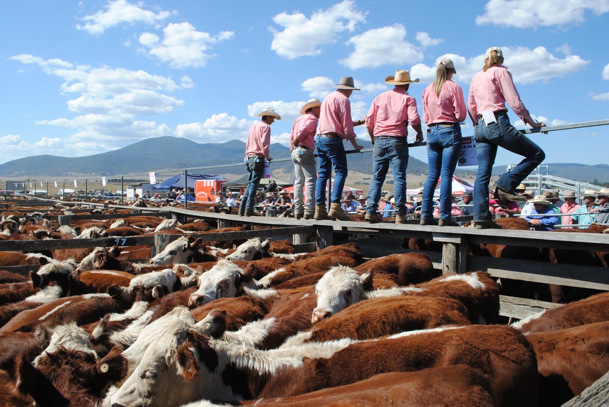 Barry Murphy tweet media