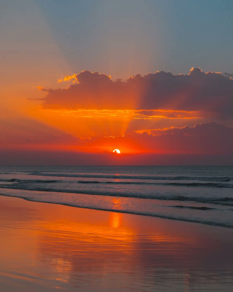 — nature’s poetry ✨