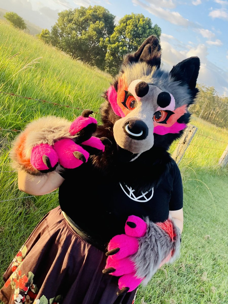 TheUnholyCollective 🔜FurDu 26’ tweet media