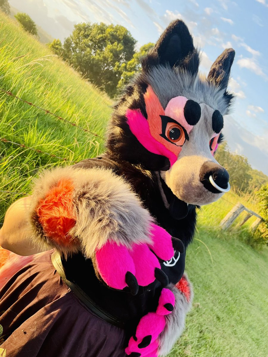 Here’s some more of Pieri! Who is excited to see her at my table this weekend?

The design of this goober is by kodasuits 
Nose ring made by <a href="/StarBirdArt/">Kirie☆</a> 

#furry #fursuit #fursuitmaker
