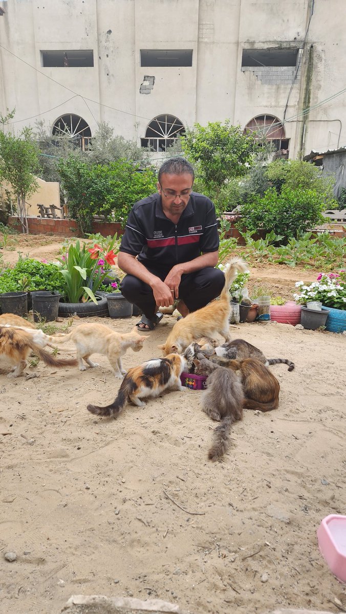 helpcatsmsallam's tweet image. Gaza is bleeding and all the people see this...
Gaza is calling and all people see it... Gaza is resisting and resisting the tyranny of the occupier, and no one supports it... 
Gaza is bombed, killed and destroyed every day... 
Gaza sleeps in this situation every day But will…